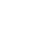 Flying Legends Logo